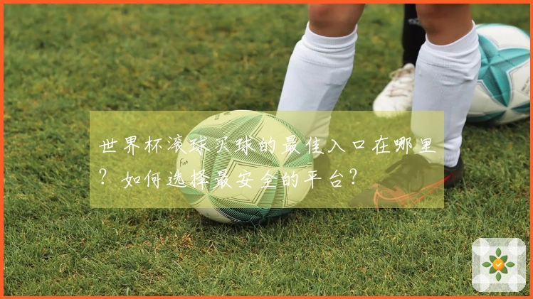 世界杯滚球买球的最佳入口在哪里？如何选择最安全的平台？