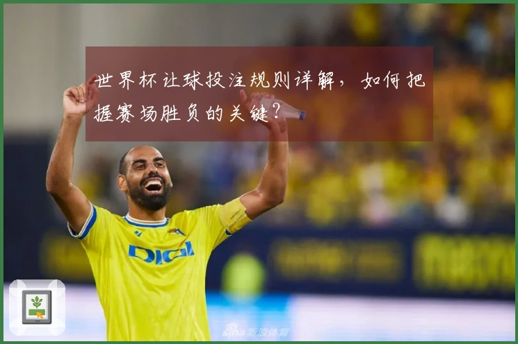 世界杯让球投注规则详解，如何把握赛场胜负的关键？