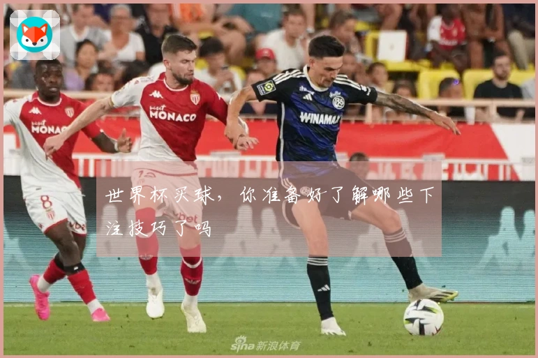 世界杯买球，你准备好了解哪些下注技巧了吗