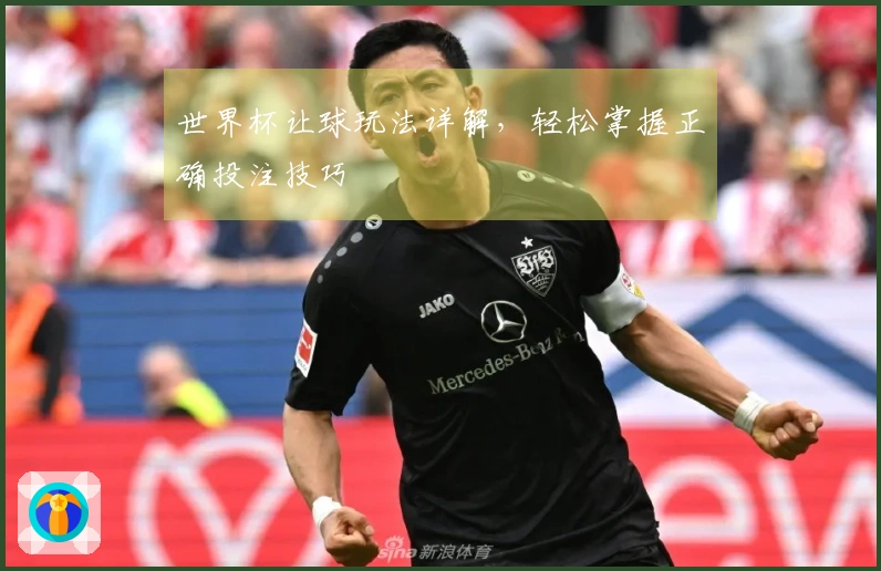世界杯让球玩法详解，轻松掌握正确投注技巧