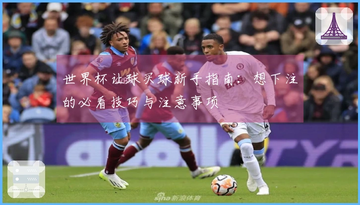 世界杯让球买球新手指南：想下注的必看技巧与注意事项